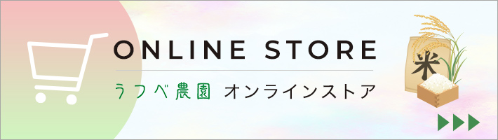 ONLINE STORE